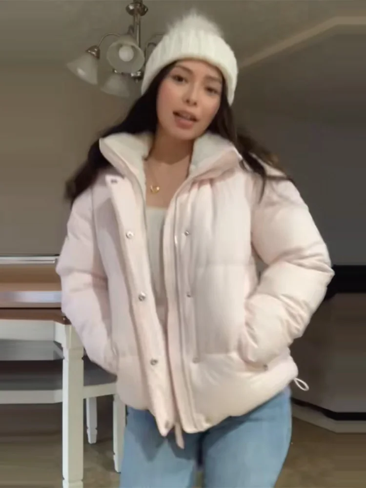 Pink Lambl Wool Patchwork Hoody Jacket Women Autumn Winter Stand Collar Zipper Jacket 2025 Thicken Full Sleeve Pocket Outwear