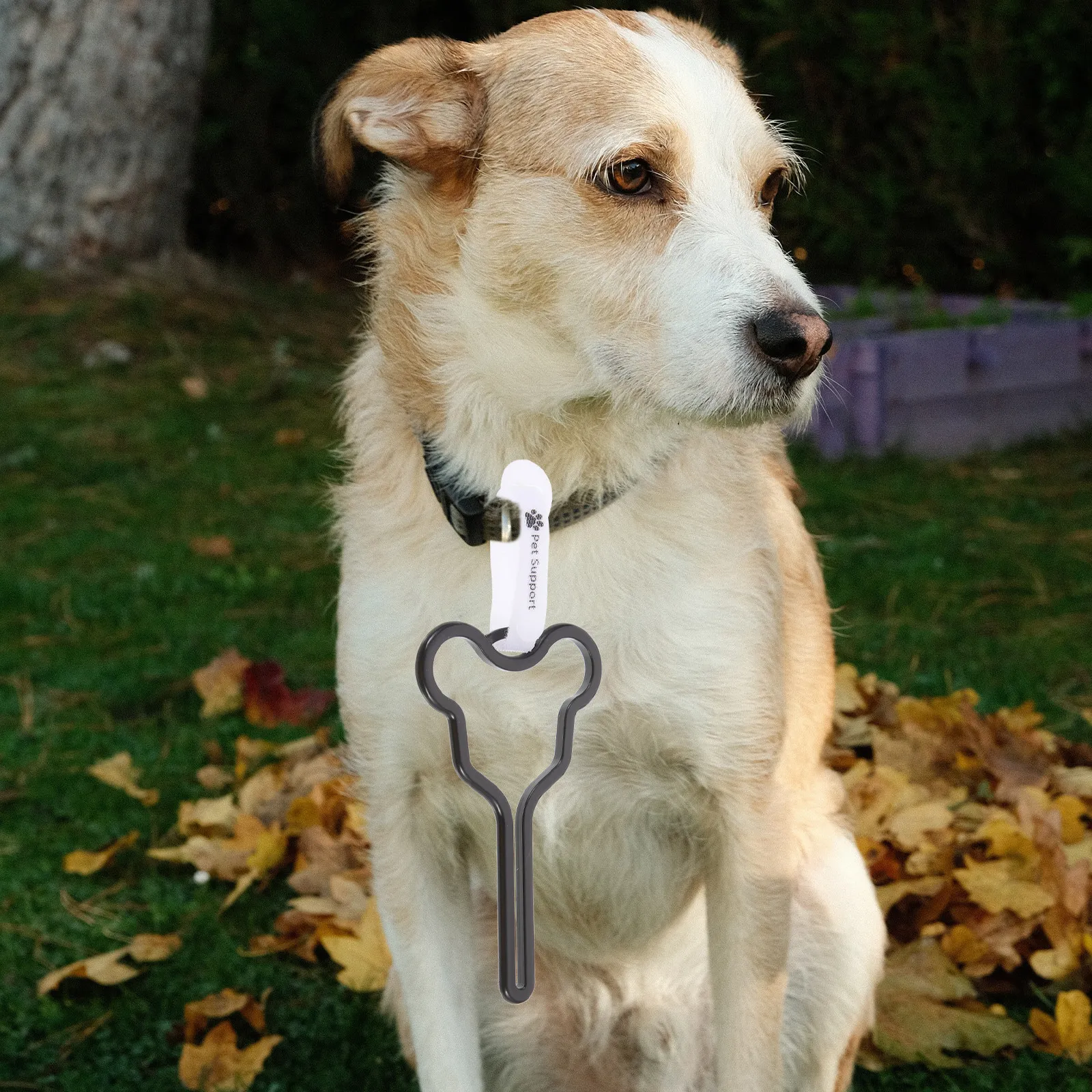 4Pcs Hands Free Waste Bag Holder No Smelly Poop Bags Dog Walking Accessories Poop Bag Holder Dog Walking Supplies