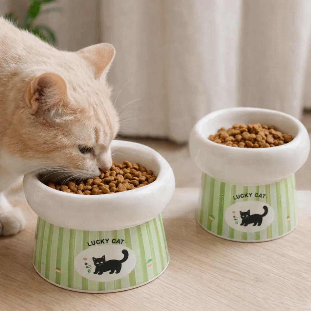 

Керамическая миска для кошек с высокими ножками, противоскользящее основание, кормушка для корма для собак с широким горлышком, защита от опрокидывания, предотвращает разливание, повышенная миска для кормления