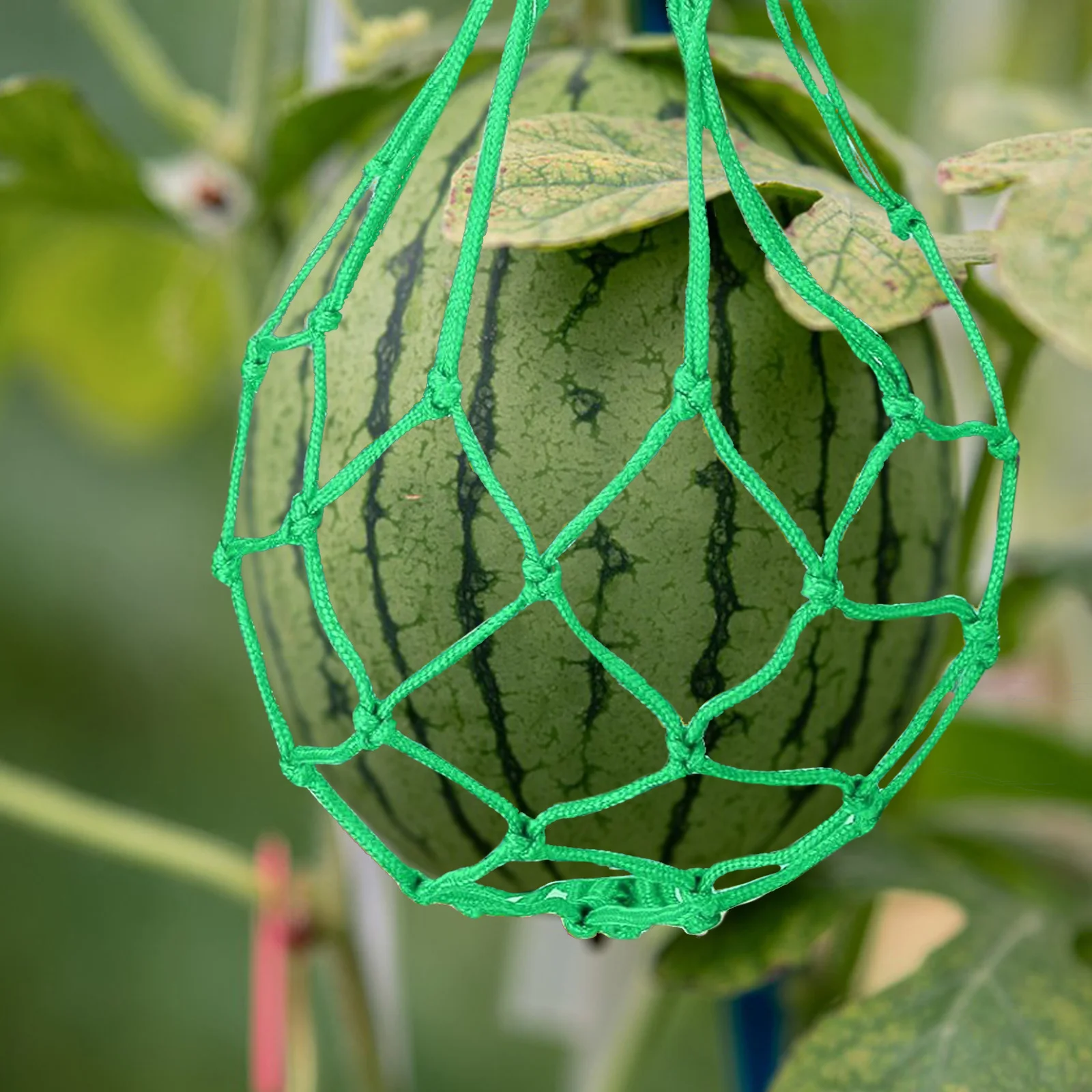 6 قطعة مهد البطيخ لحديقة البطيخ أرجوحة صافي دعم الفاكهة الرافعة Cantaloupe حقيبة الفضاء توفير دائم شبكة تعريشة النبات #5