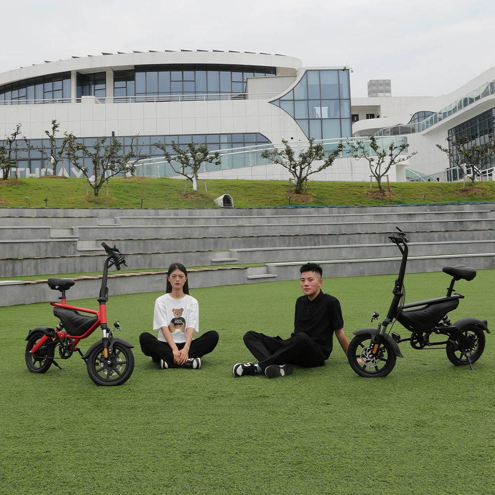 Dual Suspension Bike Bicycle Folding Electric Bike 1000w With Battery and Pedal Assisted