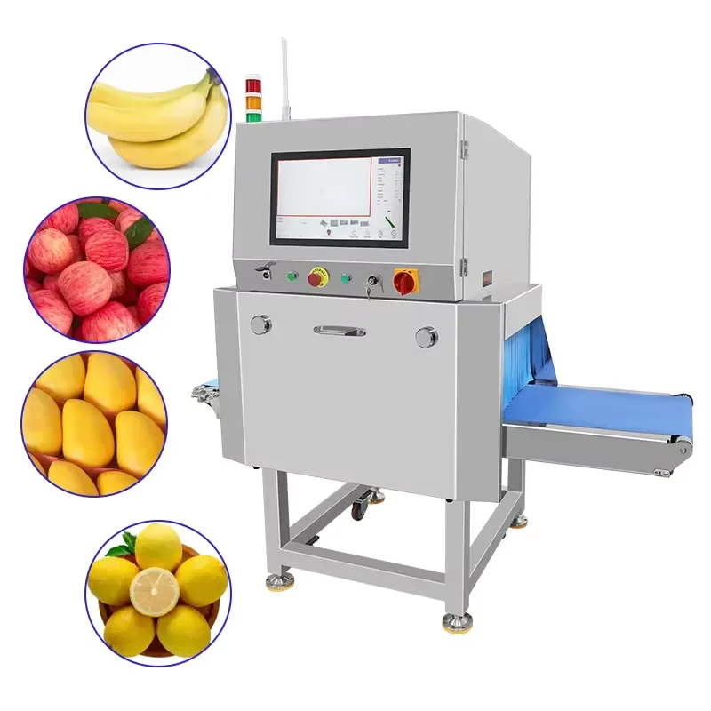Factory Manufacturing of Visual X-ray Machines for Food Testing Production Lines / X-ray Detectors for Food Processing