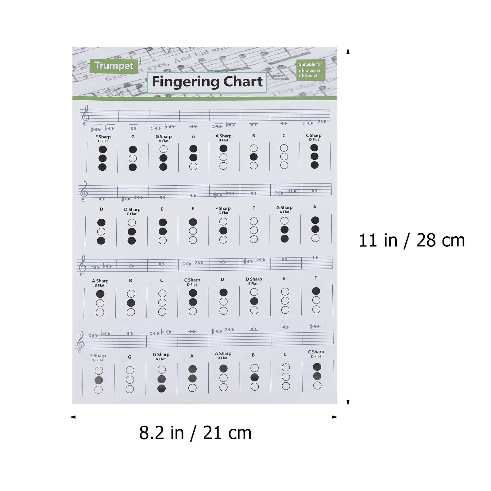1Pcs Trumpet Chord Chart Clear Printing Bright Colors Easy Practice Beginners Guide Finger Chart Wall Poster Music Chords