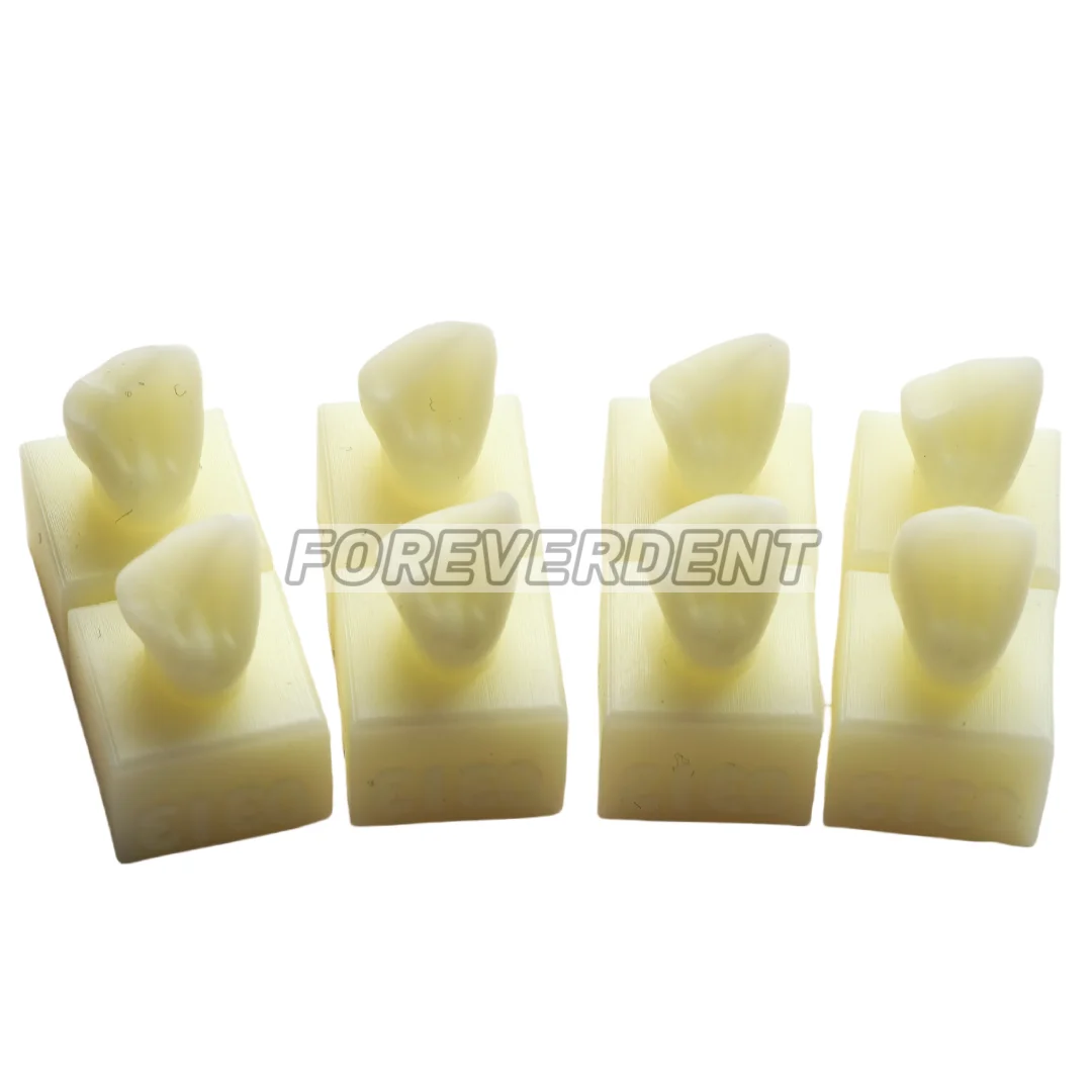 Dental Anterior Student Training Test Model Practise Composite Resin Filling Teeth Jaw Dentistry Equipment 8pcs/Kit