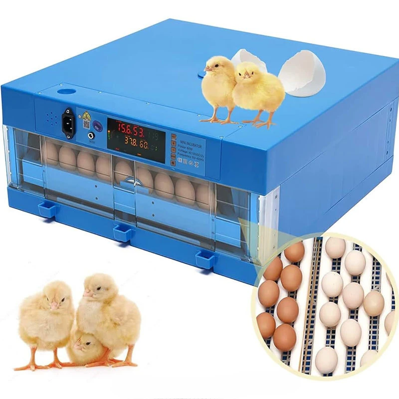 Incubator chicken Bird Duck Turkey Quail Goose egg incubator Capacity 112 eggs automatic incubator