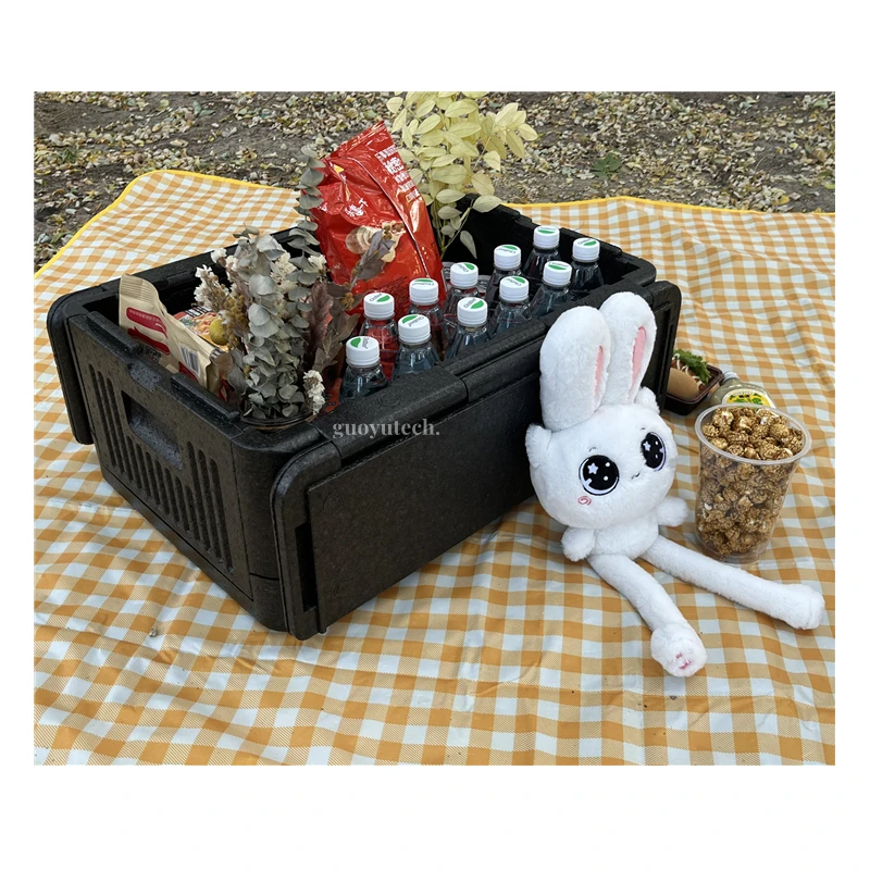 Kundenspezifische tragbare 40-Liter-Thermokühlerbox mit Kompressor, moderner Stil, PP- und EPP-Schaum, für Eis, Camping, Outdoor