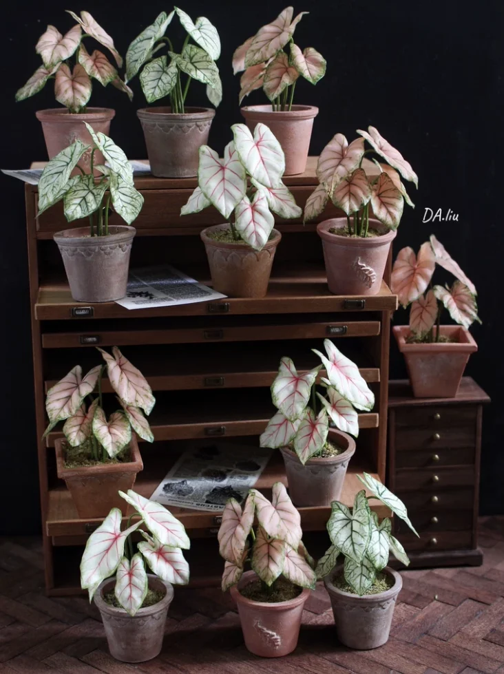 1:6 Miniature Plant Set, Handmade Realistic Fern Maple Caladium Potted,Exclusive Custom Sizes BJD Dollhouse Garden Bjd Decor Art