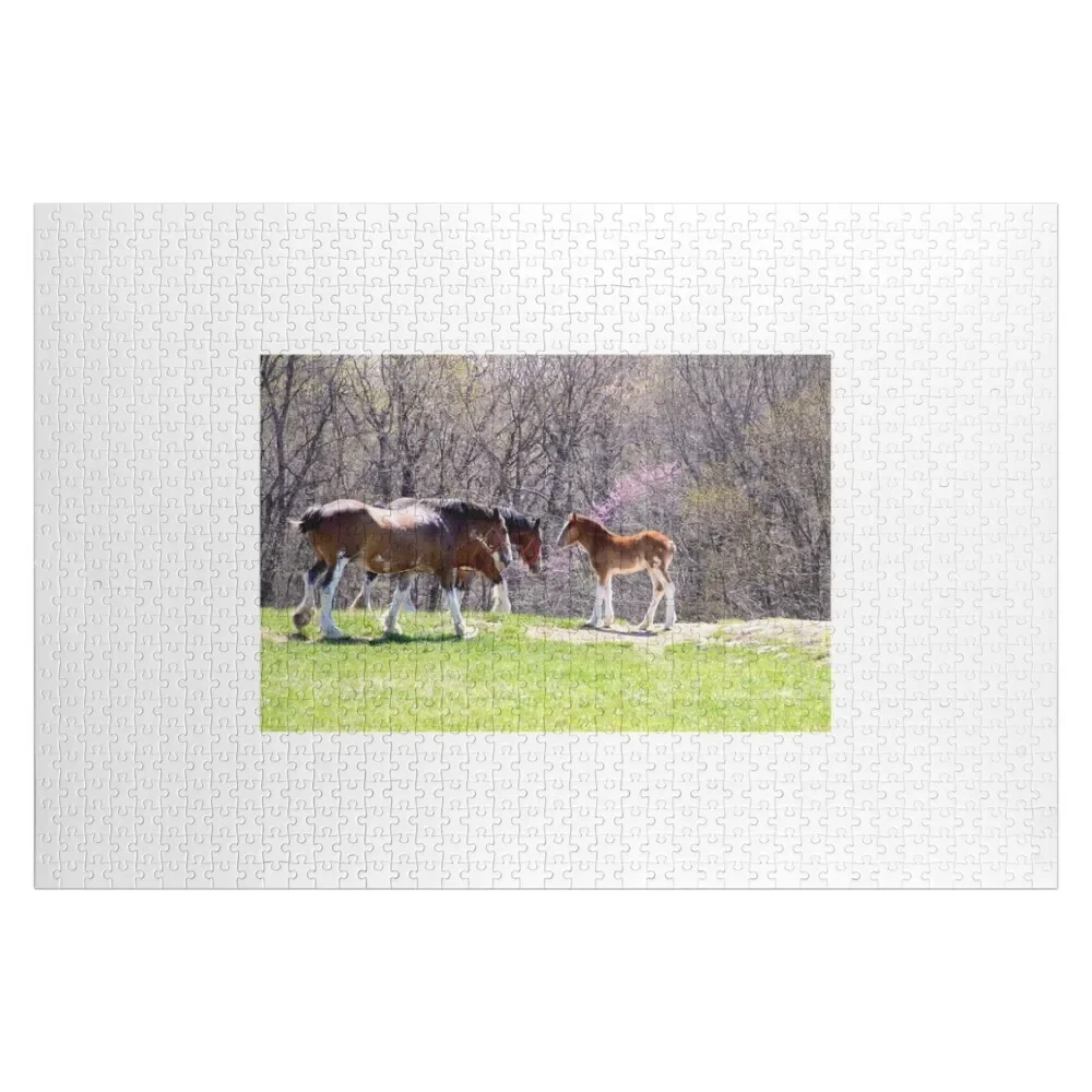 

Clydesdale Jigsaw Puzzle Custom Wood Name Wooden Toy Puzzle