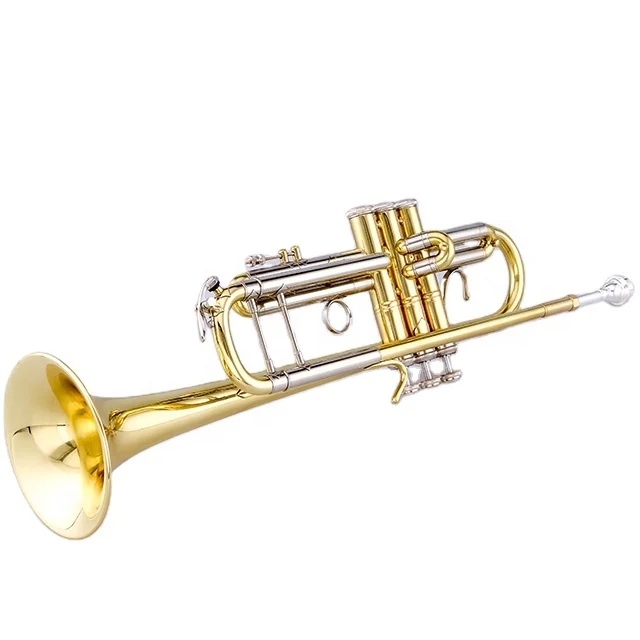 

Tone Bb Trumpet with Brass Body and Gold Lacquer Surface Musical Instrument