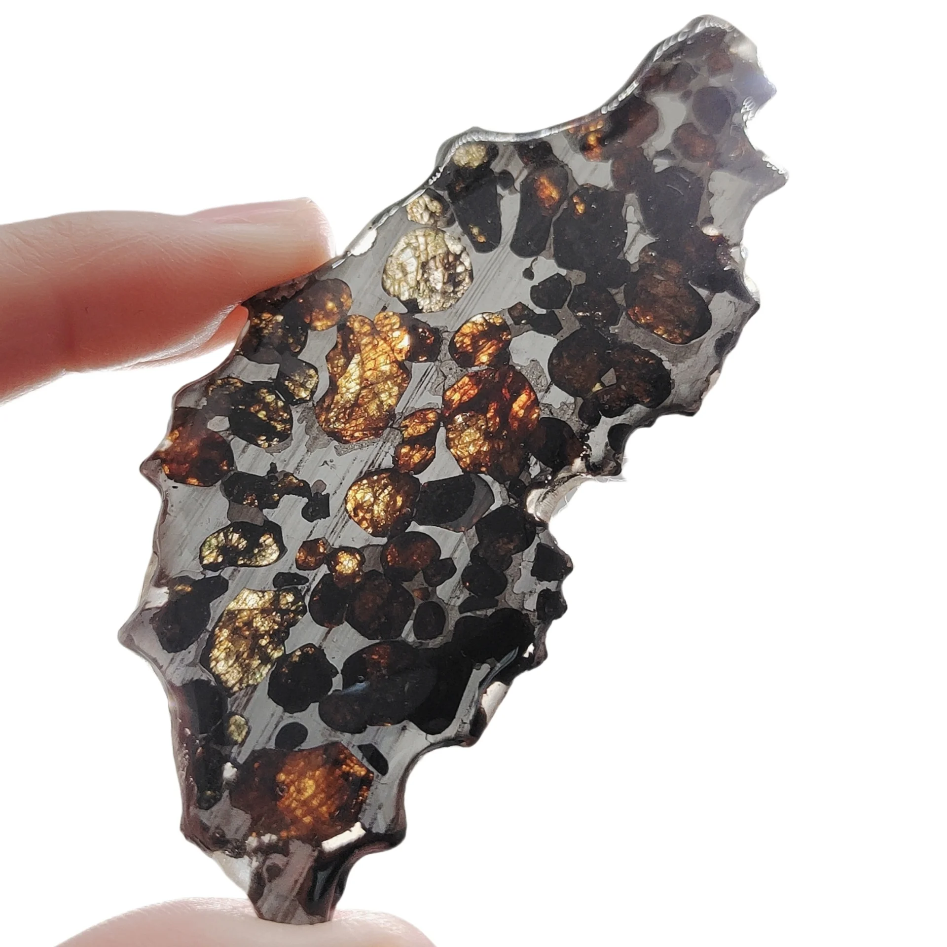 20g Seymchan Pallasite Olive Meteorite Slices Specimen Natural Meteorite Material Sliced Collection - TA623