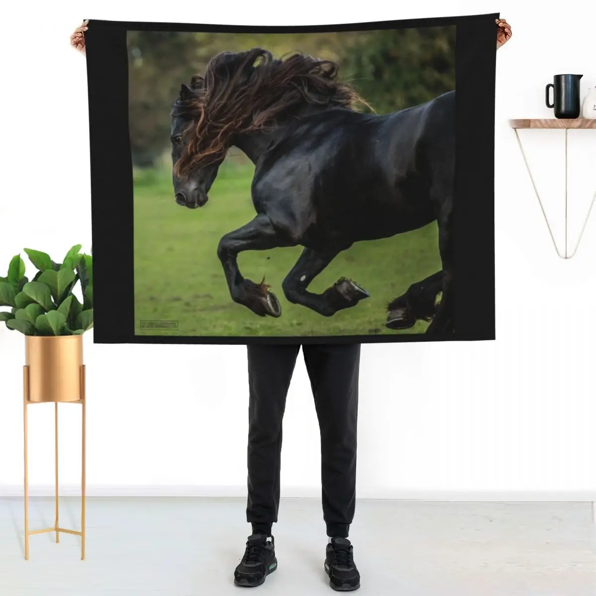 The Friesian Experience - Beautiful Black Beauty Friesian Horses Throw Blanket Picnic Decorative Beds bed plaid Plush Blankets