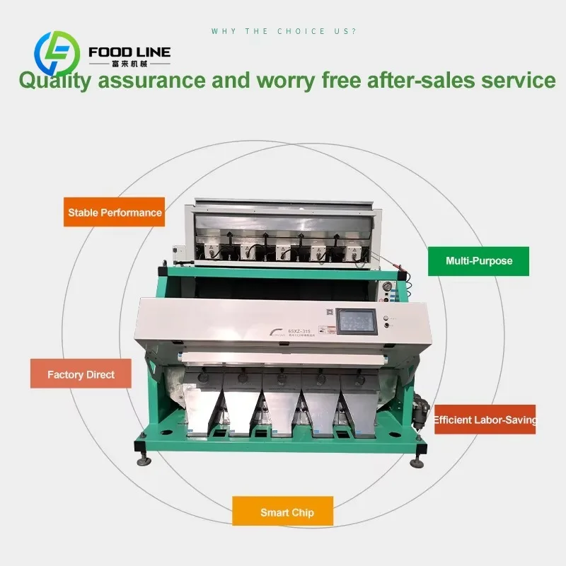 Customized Intelligent Color Sorter for Chestnut Macadamia Nuts Walnuts Color  Sorting Machinery Almond Color Sorting Machine