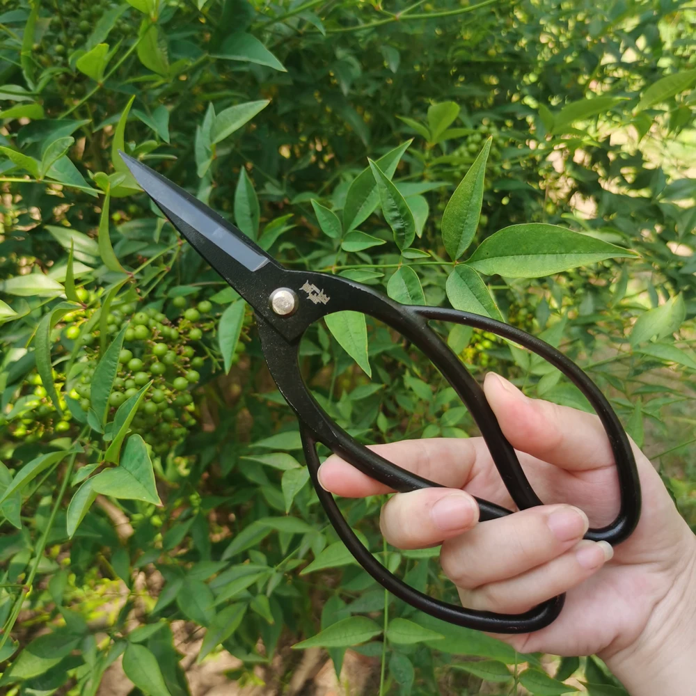 Professional Upgrade Multifunctional Bonsai Plant Tree Scissors Trimming Cutting Tool Set Kit Pruning Tools Garden Accessories