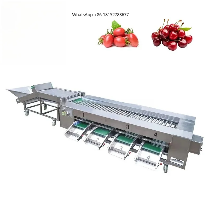 Fruit & Vegetable Grading Machine Avocado Cherry Sorting Machine Vegetable Grading Machine