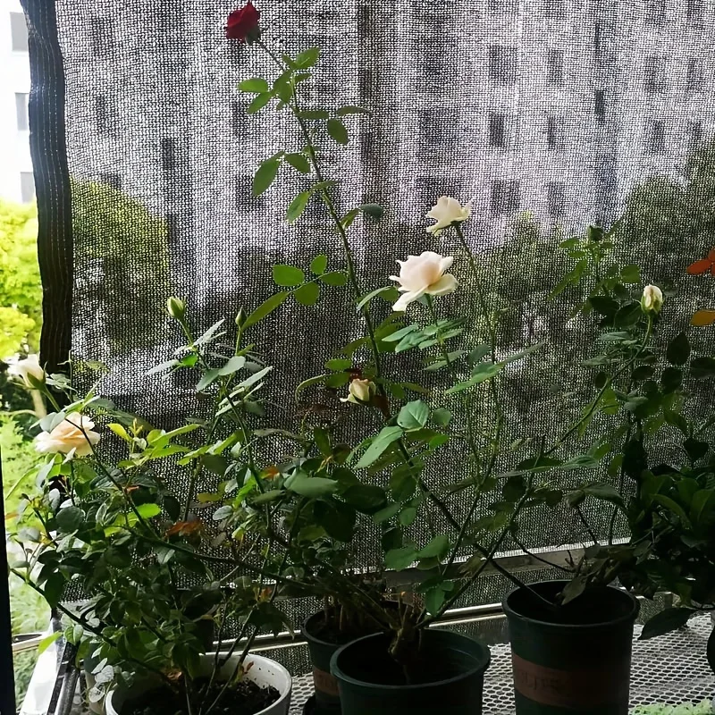 【شبكة مظلة خارجية ذات هيكل معزز】تعتمد خياطة متعددة الخيوط مع نقاط مفاتيح معززة كظلة نباتية متينة