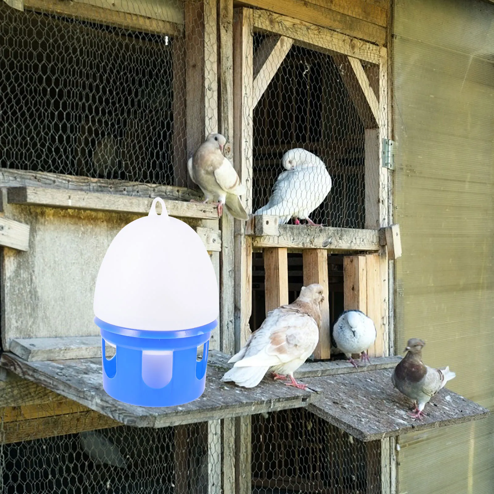 

Pigeon Water Feeder Large Capacity Drinking Bowl Round Smooth Removable Easy Clean Sturdy Design Bird Feeder Pet Parrot Cage