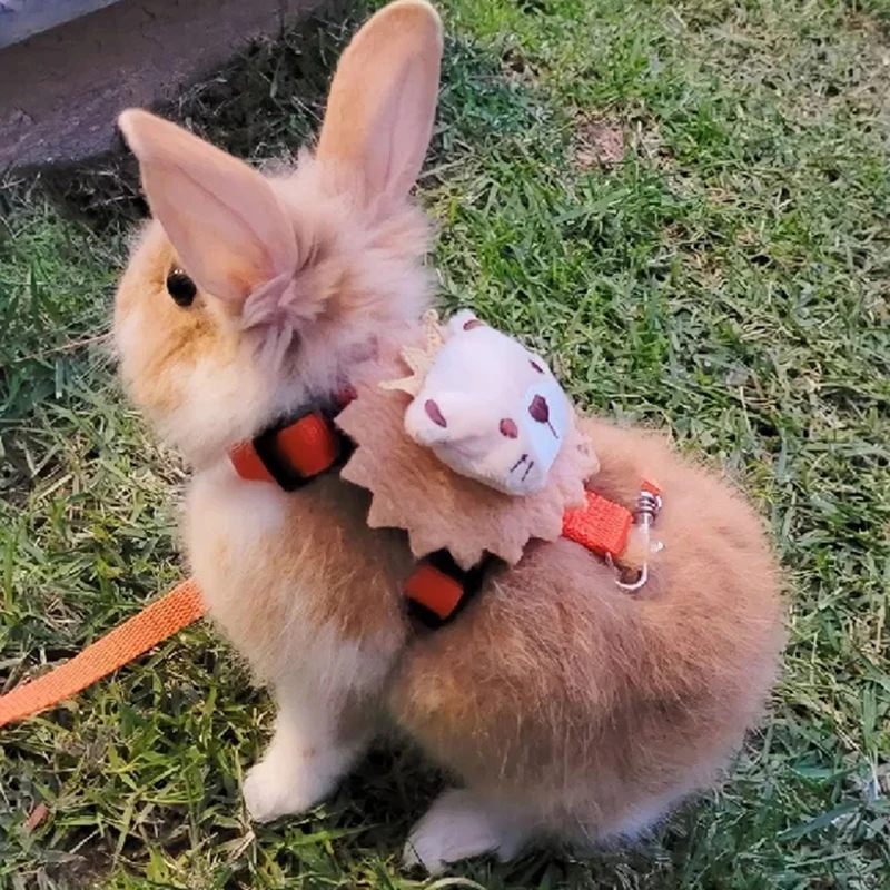 Cute Bunny Harness Set 3