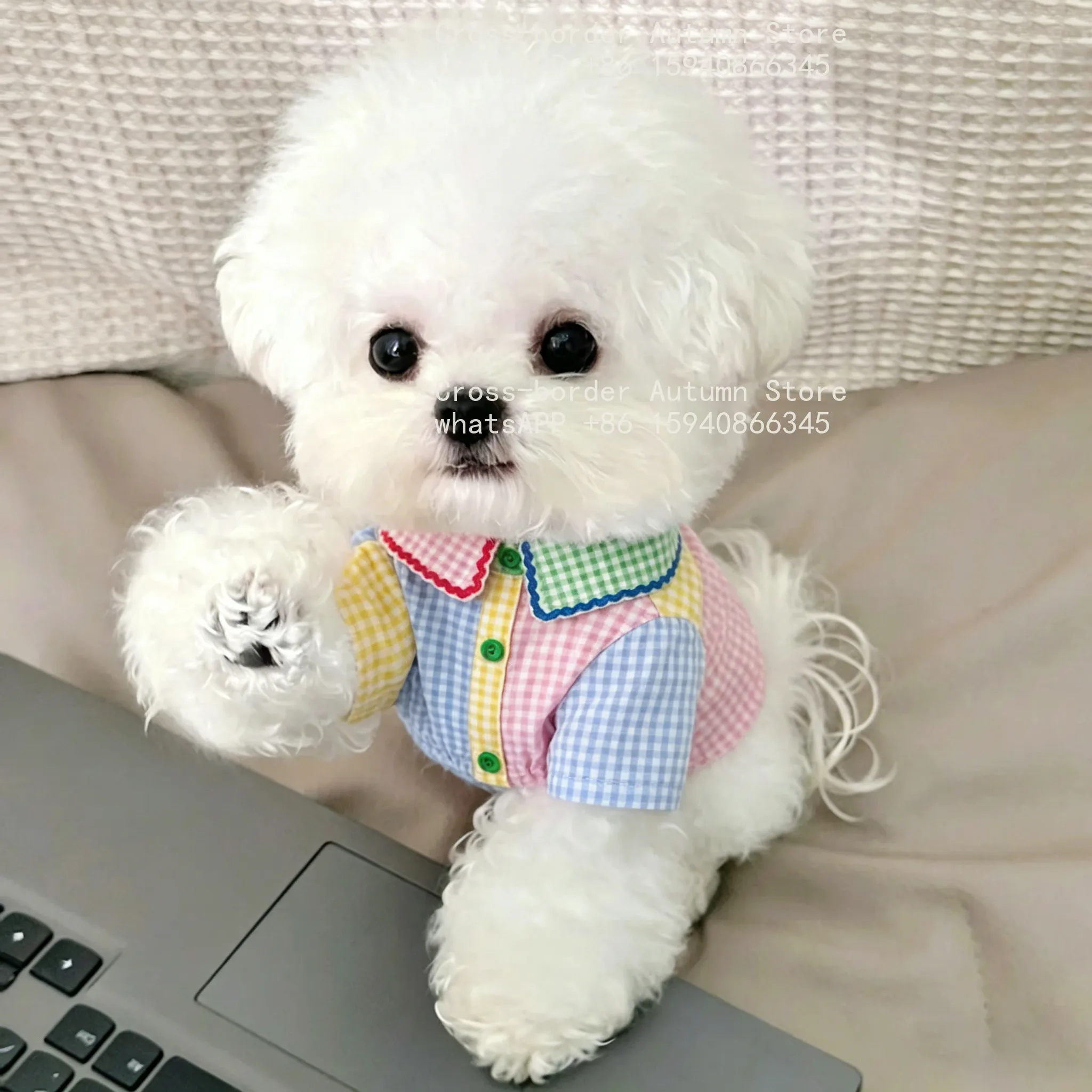 Puppy clothes spring clothing - огляд і ціна Summer Dog Clothing