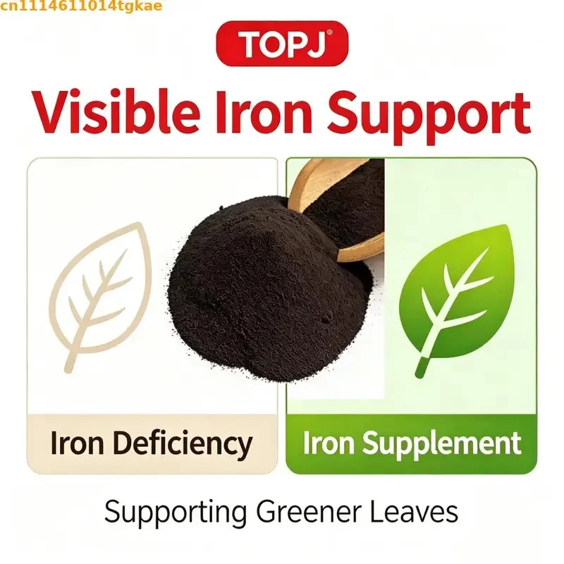 EDDHA-Fe 6% Chelated Iron Powder | Water Soluble Iron Fertilizer for Alkaline Soil, Fruit Trees & Vegetables