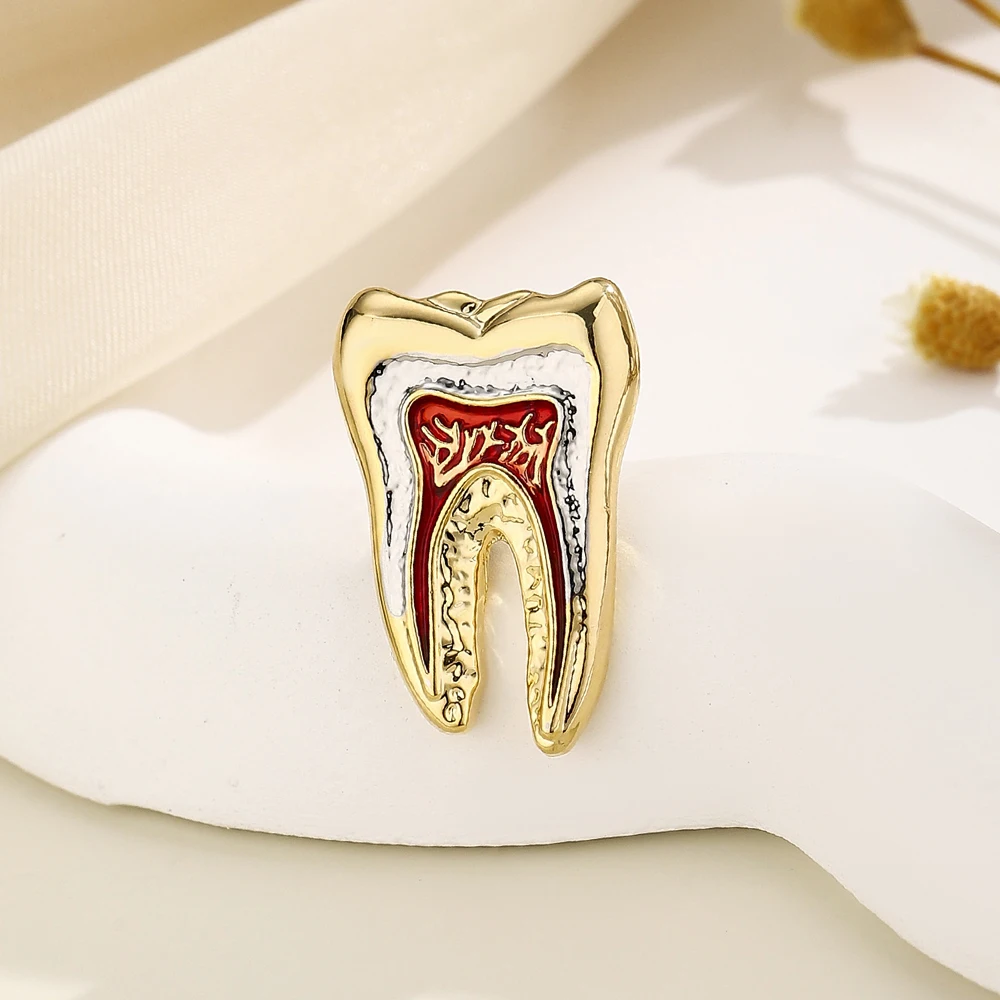 DCARZZ Tooth Anatomy Enamel Pin Medical Dental Teeth Brooch for Dentist Doctor Nurse Backpack Lapel Badge Jewelry Gifts