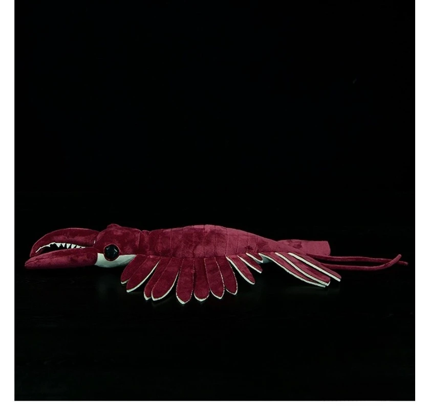 ZWY Paleontology Series Realistic Anomalocaris Plush Toy Lifelike Sea Creature Stuffed Animal Unique Collectible Gift
