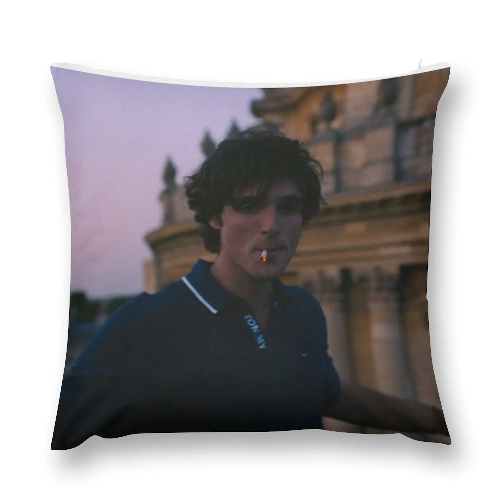 Jacob Elordi Saltburn Throw Pillow Sofas Covers Pillow Case christmas pillow case