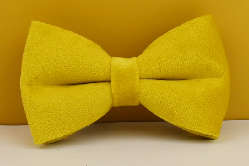 Gelbes Samt-Hundehalsband und Leinen-Set für kleine, mittelgroße und große Hunde, individuell graviertes Namensschild, Heimtierbedarf, Hundeleine, Velvet04 – Detail 12
