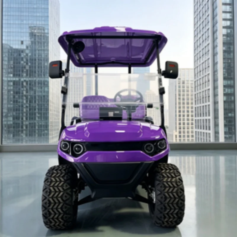 Electric Golf Cart Customized Motor Acid Battery Electric Sightseeing Golf Car With 14-Inch Off-Road Tires Rear Cargo Box Bumper