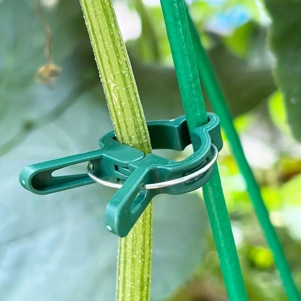

10pcs Plastic Garden Plant Clip Adjustiable Heavy Duty Plant Fixed Clip Reusable Gentle Greenhouse Bracket Flower Vine