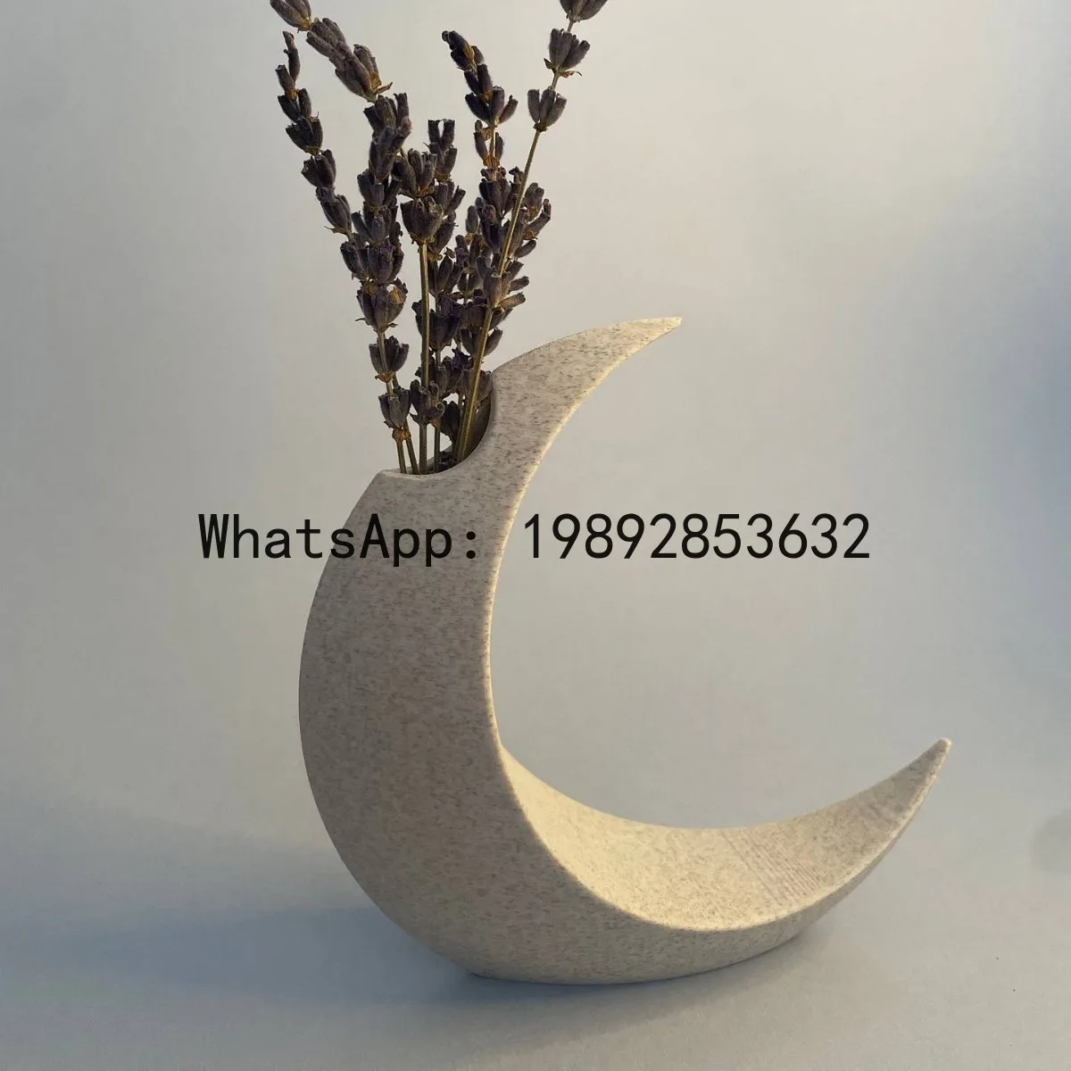 

Moon Vase Resin Vase Geometric Flower Arrangement Accessories Flowerpot Curved Ornaments Home Decoration Terrarium