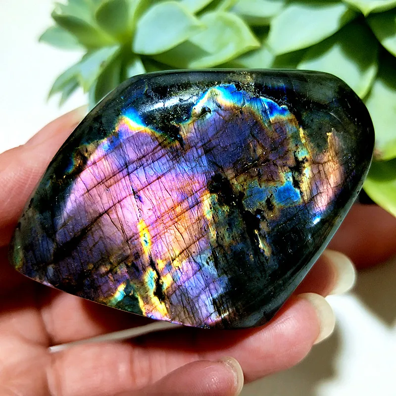 �y�Z�[�����z�����ȓV�R�Α��F���C�g���u���h���C�g�N���X�^���t���[�t�H�[�����p�ґz�G�l���M�[�����N���X�^�����[������