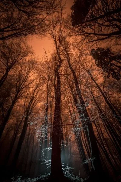 

For 1/7 ARRMA INFRACTION 6S BLX LIMITLESS ALL-ROAD V2 Carbon Fiber Front & Rear Shock Tower RC Car Truck Parts