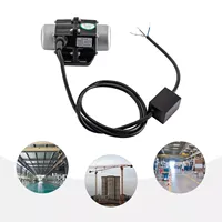 40W 1 Phase 220V Einphasiger Vibrationsmotor Industrie Vibration Motor Asynchronous Vibrator 3000RPM