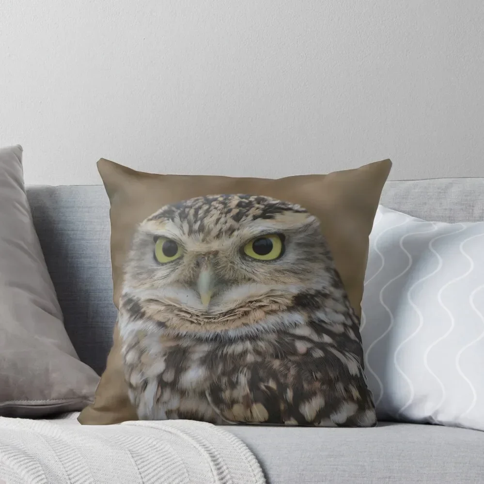 Burrowing Owl Stare Throw Pillow Cushions Sofa Cushions Pillow