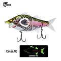 RAINBOW TROUT 03