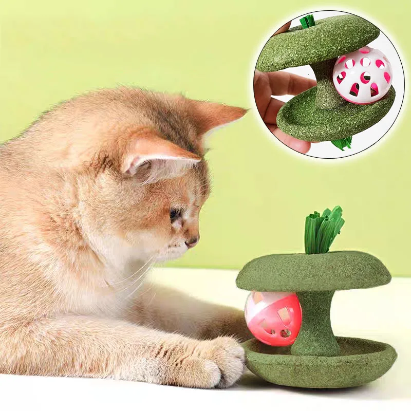 Haustier Katze Katzenminze Spielzeug Essbare Katzenminze Apfelform Mit Glocke Sicherheit Gesunde Katzen Hause Jagen Spiel Spielzeug Saubere Zähne Katze Mint Spielzeug