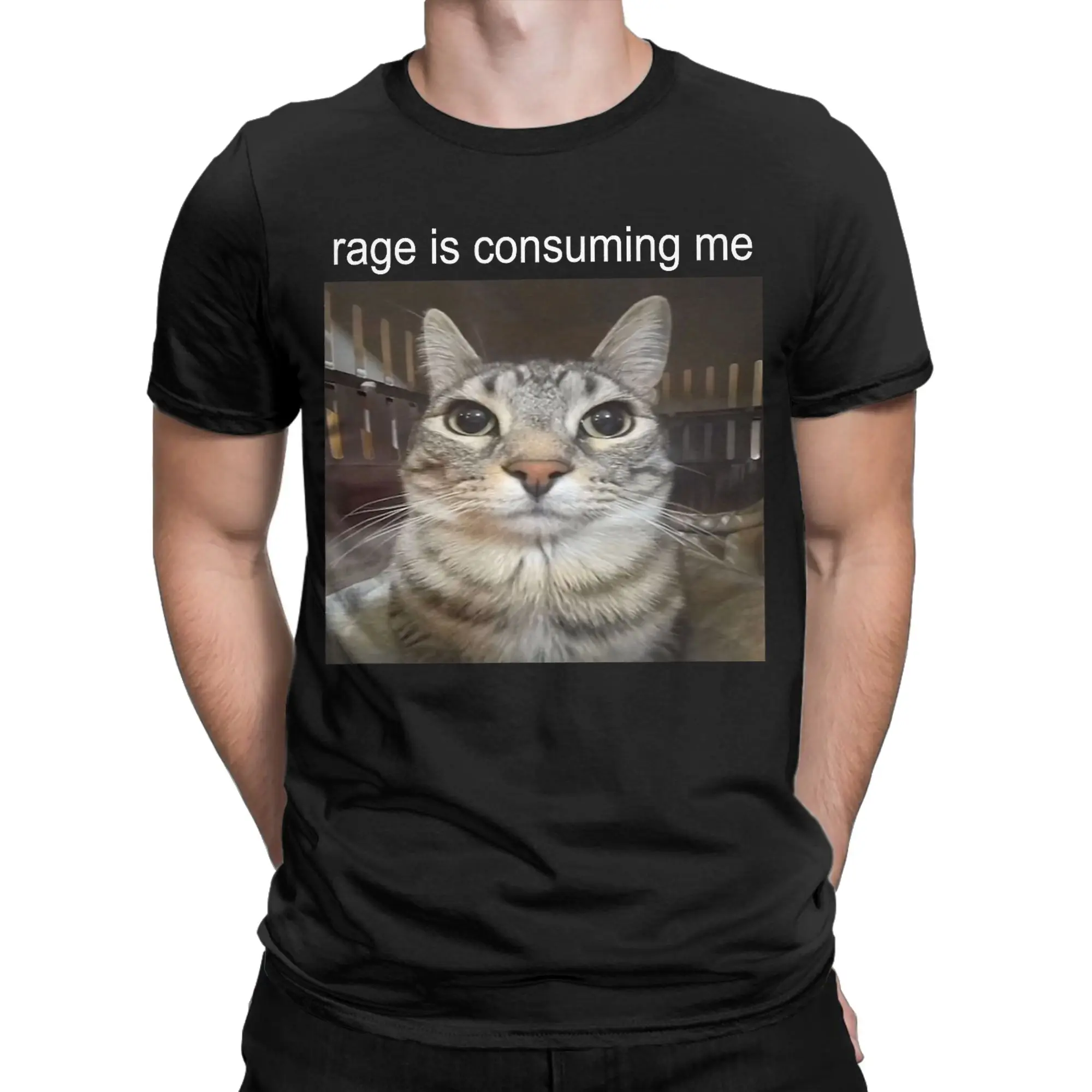 Funny Rage is Consuming Me Silly Staring Cat Meme T-Shirt Men Crewneck Pure Cotton T Shirt  Short Sleeve Tees Printed Clothes