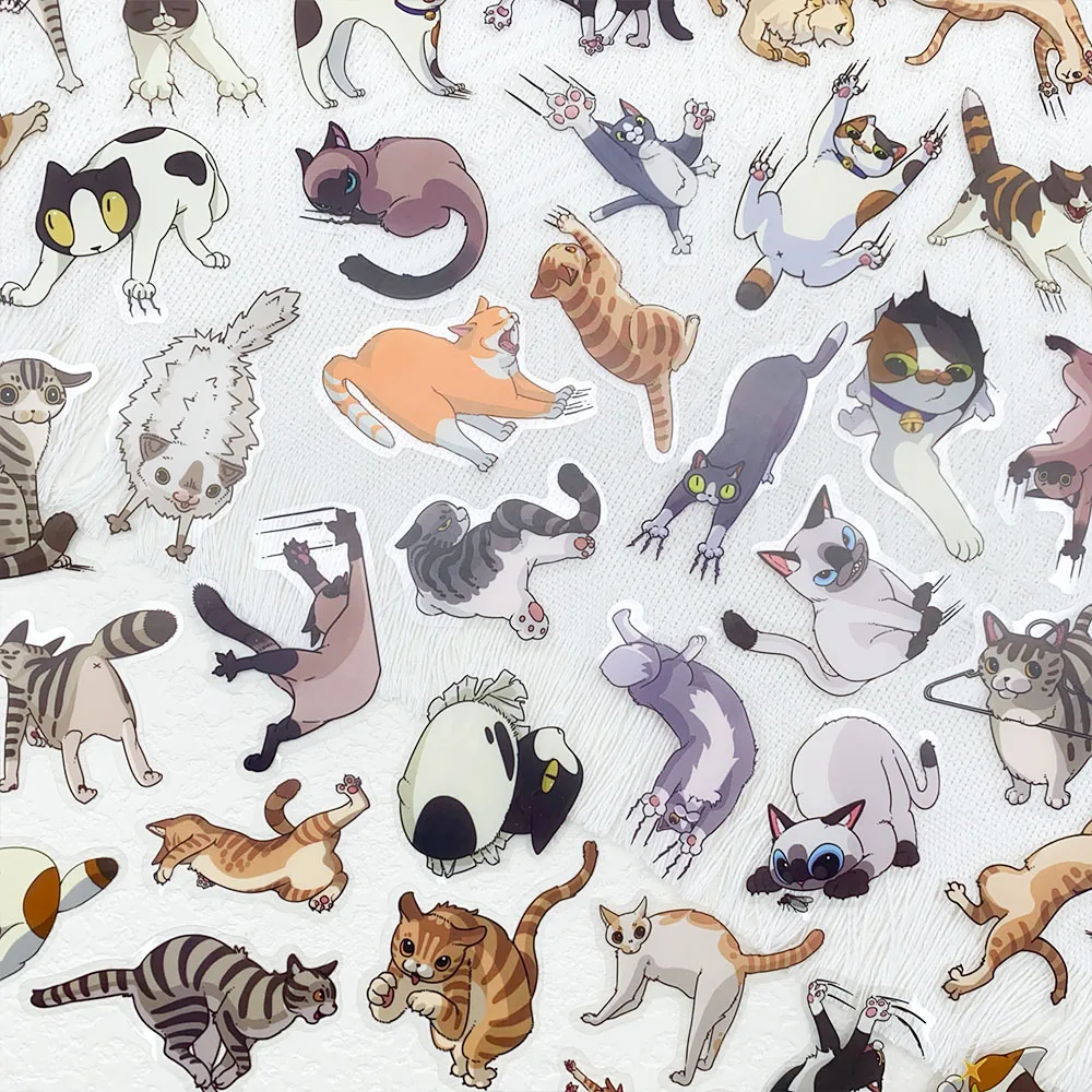 yZ[z50 悩킢LXNb` PET XebJ[fJ[dbbvgbv①Ƀm[gubN DIY IXebJ[