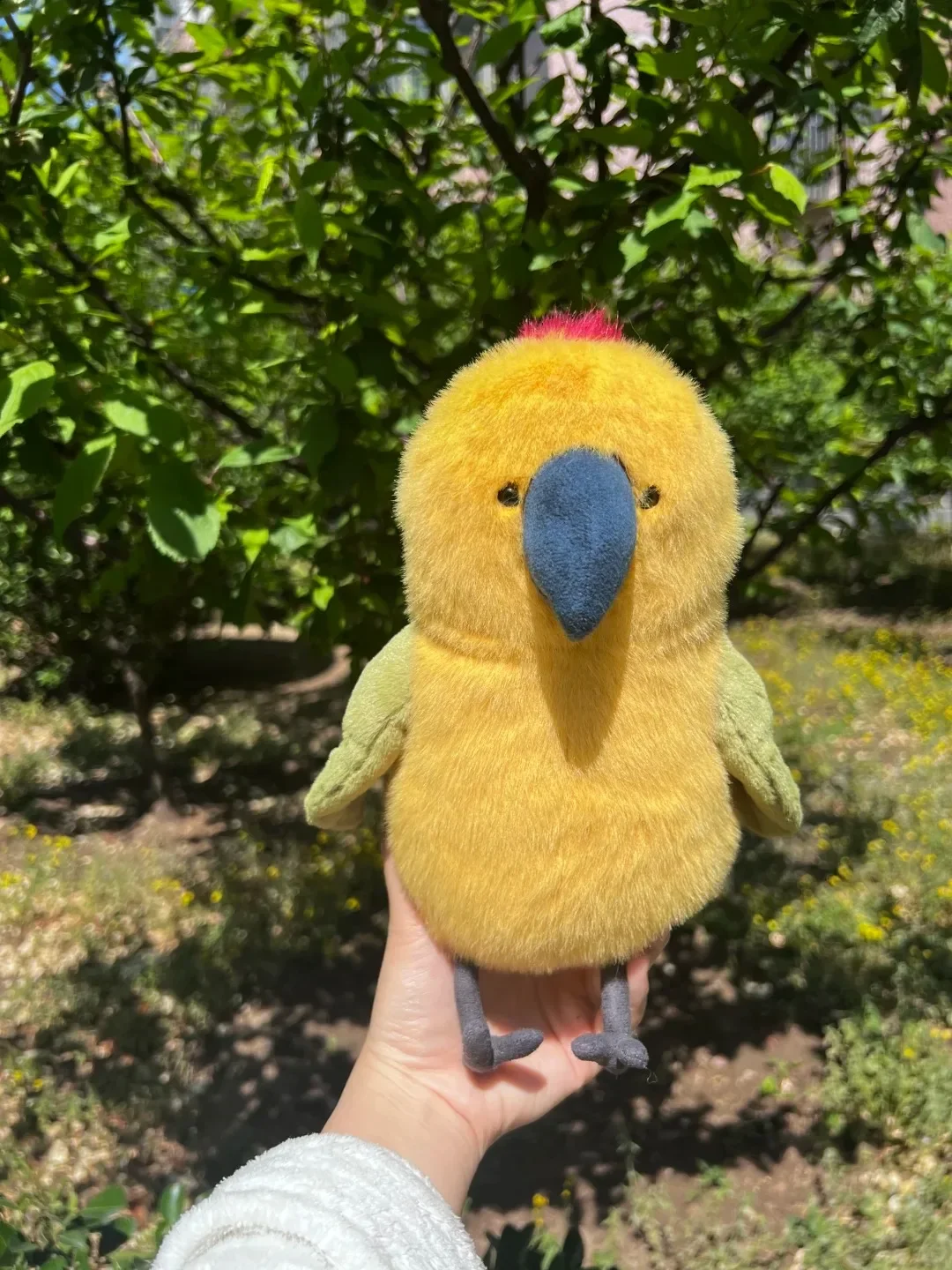 

For Jelly Cat Summer New Limited Edition Fun Budgeby Parrot Plush Doll With Gift Home Decoration Holiday Gift Cat And Dog Toy