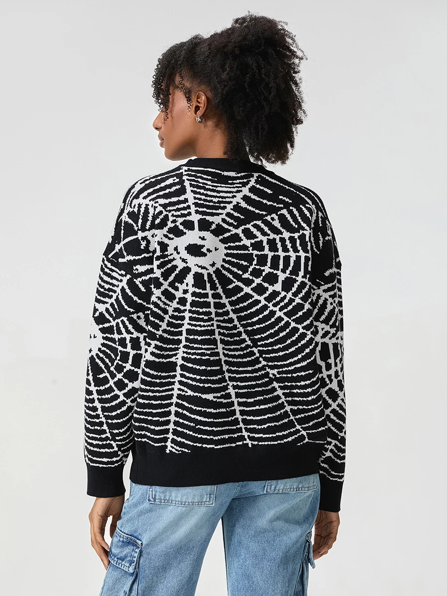 Damen Herren Pullover mit Rundhalsausschnitt, langärmelig, Spinnennetz-Pullover, Strickoberteil für den lässigen Alltag in der Herbstsaison