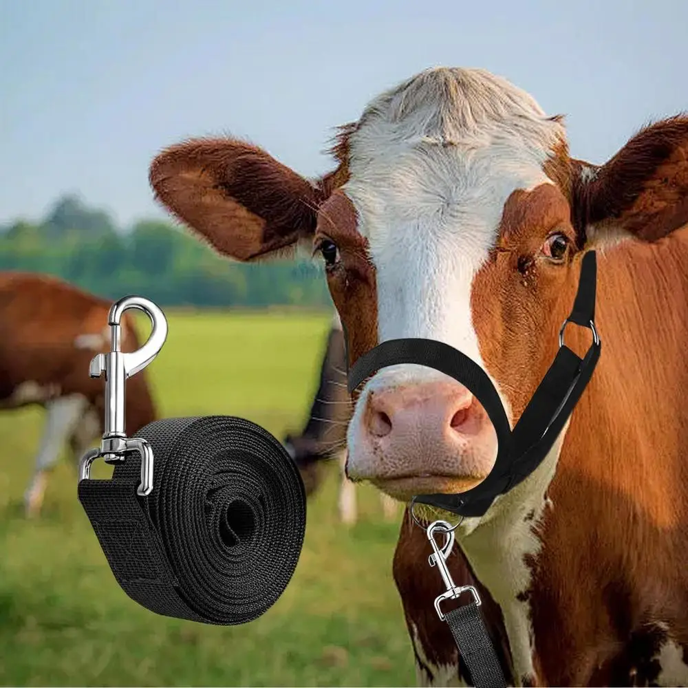 Calf Halter Calf Halter and Lead Rope Heavy-Duty Adjustable Nylon Livestock Training Equipment for Handling Showing Animals