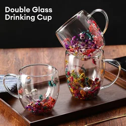 Creative Glass Cup Double Wall Real Dry Flower Conch Flash Cup High Borosilicate Glass Cups with Handles for Gift Decoration