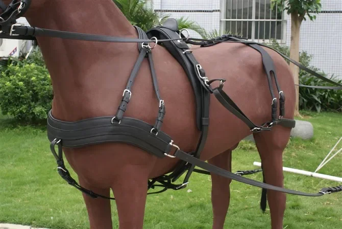 Pony Cart for Wedding, Electric Horse Diving SFP, Proximité, WNeshire Age, Hot SalesPony