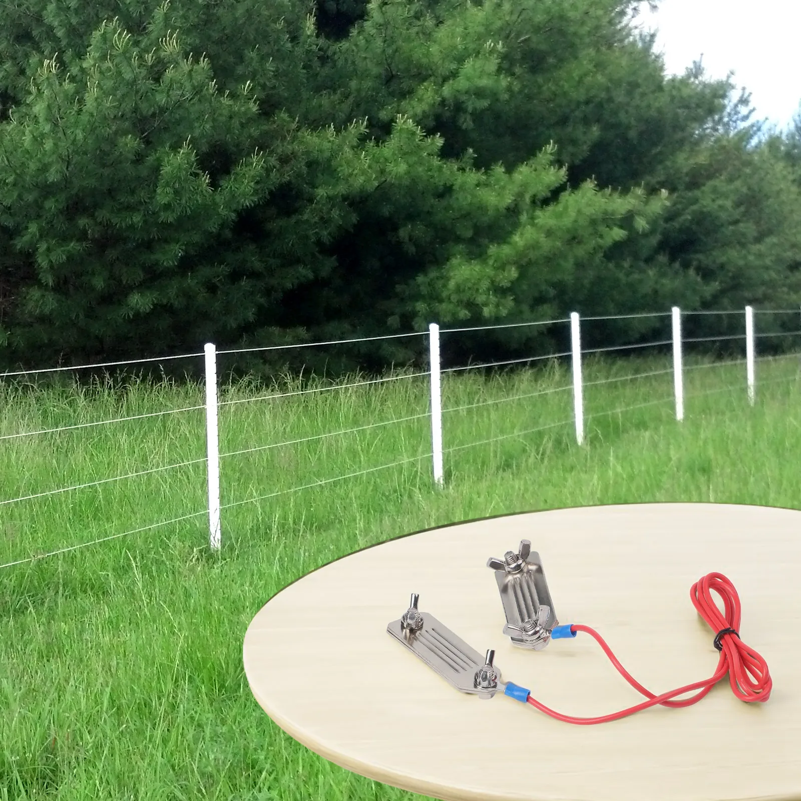 Clip Electric Tape Connector S - Agriculture Goat Farming ulasan dan harga