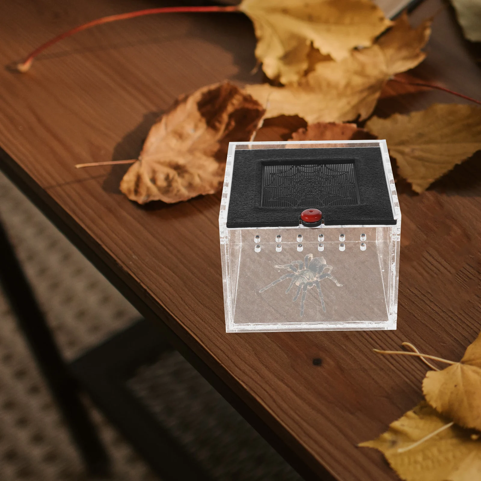 Reptile Breeding Box Acrylic Feeding Case For Spiders Small Animals Lightweight Ventilated Transparent Escape-Proof