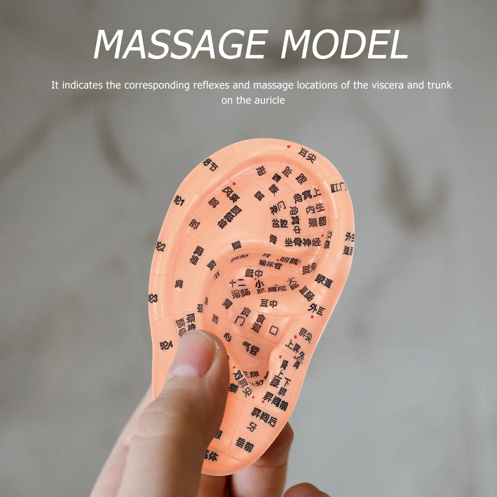 

1 шт. Реалистичная модель уха для акупунктуры и массажа с детализированными точками, учебное пособие для обучения ТКМ, лабораторные принадлежности, имитация рефлексов человеческого уха