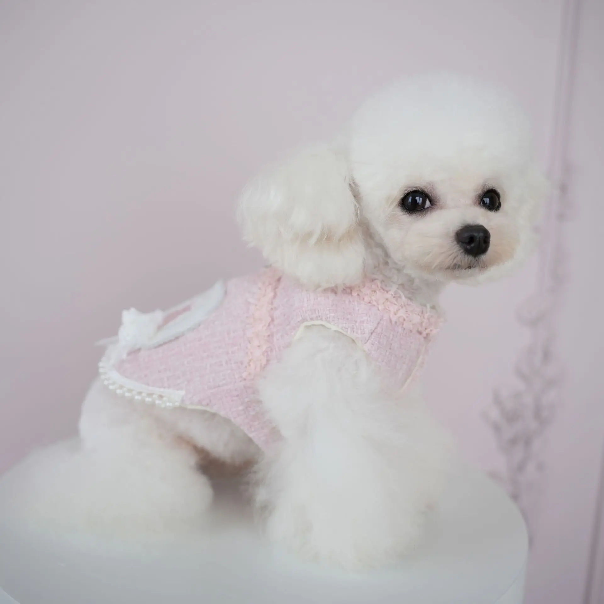 New Pet Clothing Couple Dog Coat Pink Lace Bow Cute Cake Skirt Cat Dress Fashion Design Can Lead Dog Clothing