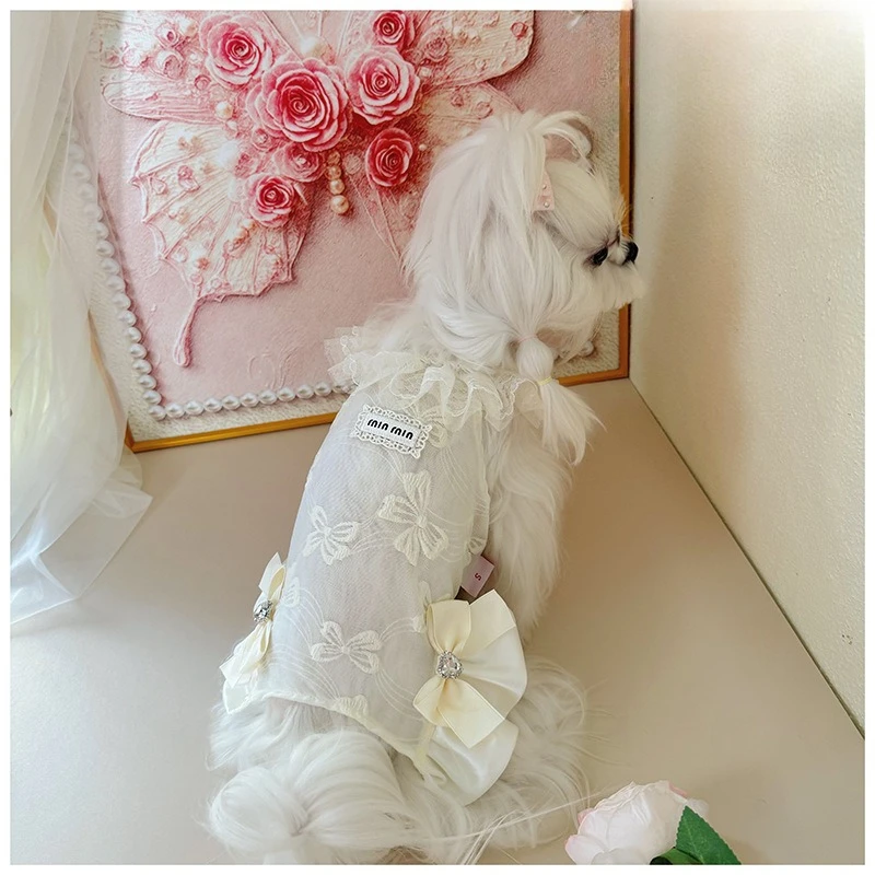 Ropa para perros pequeños: mono de encaje y falda de princesa - imagen 3