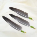 3pcs