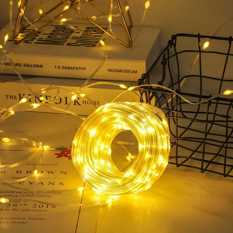 Garland 100 Meters LED Festoon Fairy String Light Christmas Lights Length 30/50M EU Plug Operated Come with 24V Transformer